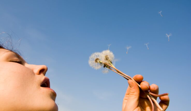 Allergie stagionali e purificatori d’aria